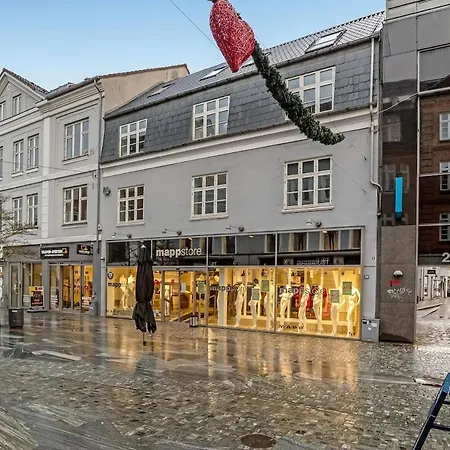 Unique On The Pedestrian Street - The City's Location Apartment Herning